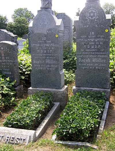 Sophie & Jacob Miller's headstones