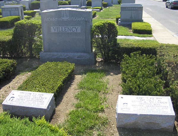 Villency Family Plot